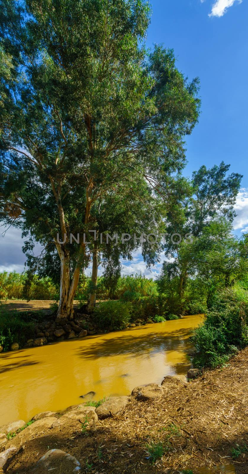 View of the Jordan River with Eucalyptus trees and other plants. Northern Israel