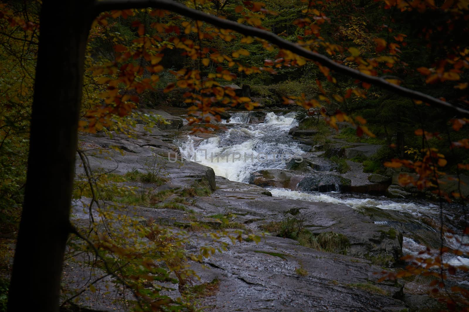 Autumn at Mumlava river near Harrachov, Krkonose Mountains