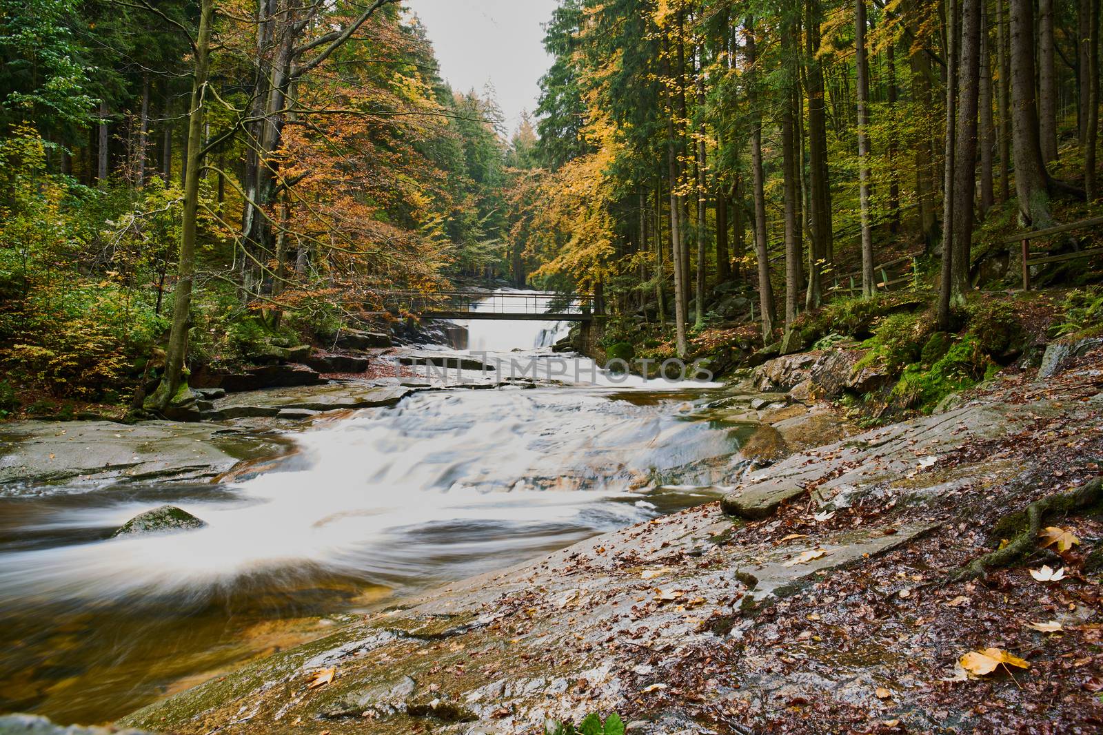 Autumn at Mumlava river near Harrachov, Krkonose Mountains