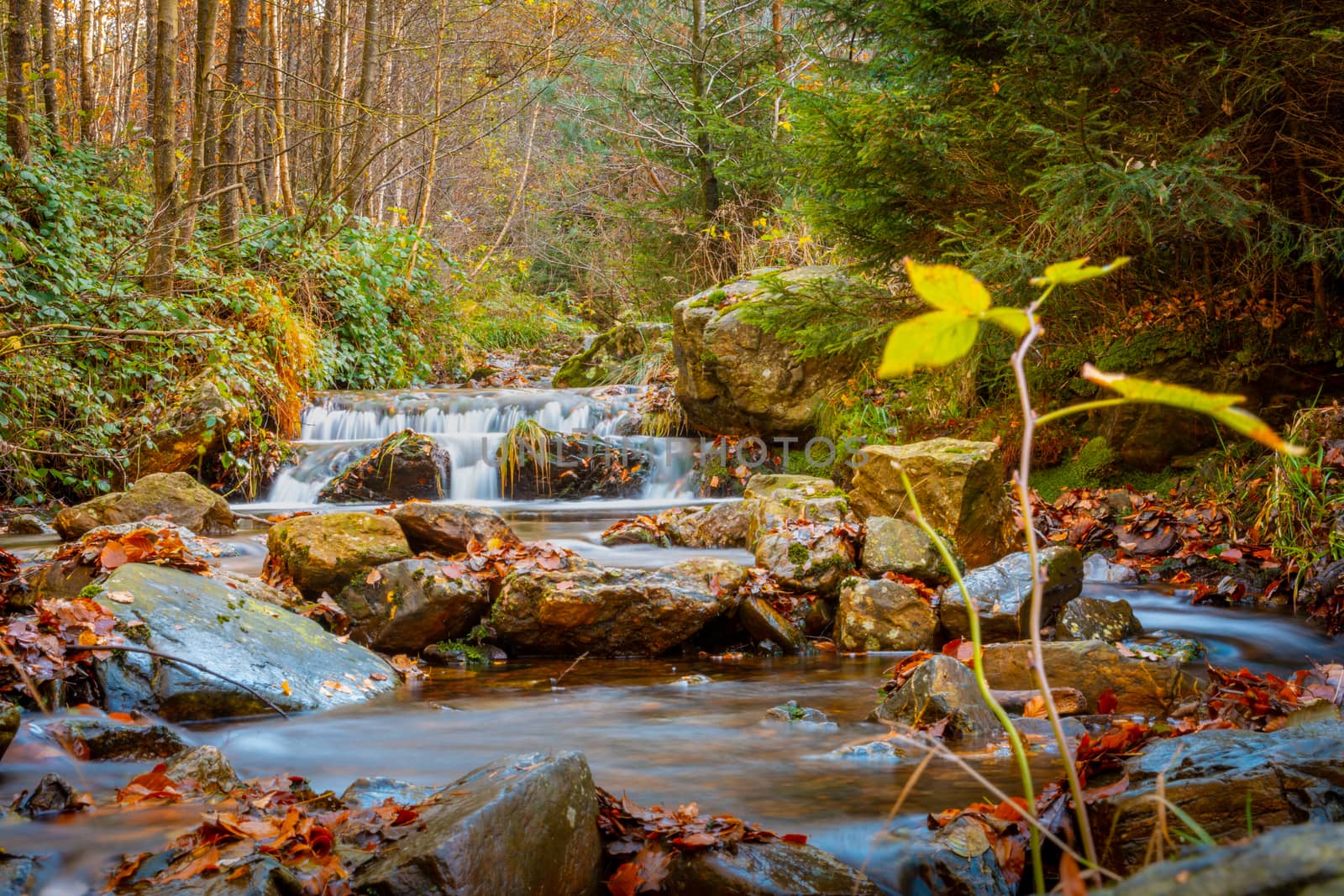 Autumn forest and river scene with waterfall. Long exposure. Seasonal vibes and warm atmosphere. by kb79