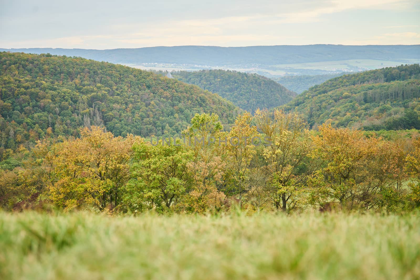 panorama view of hilly countryside pastures and forests by Jindrich_Blecha