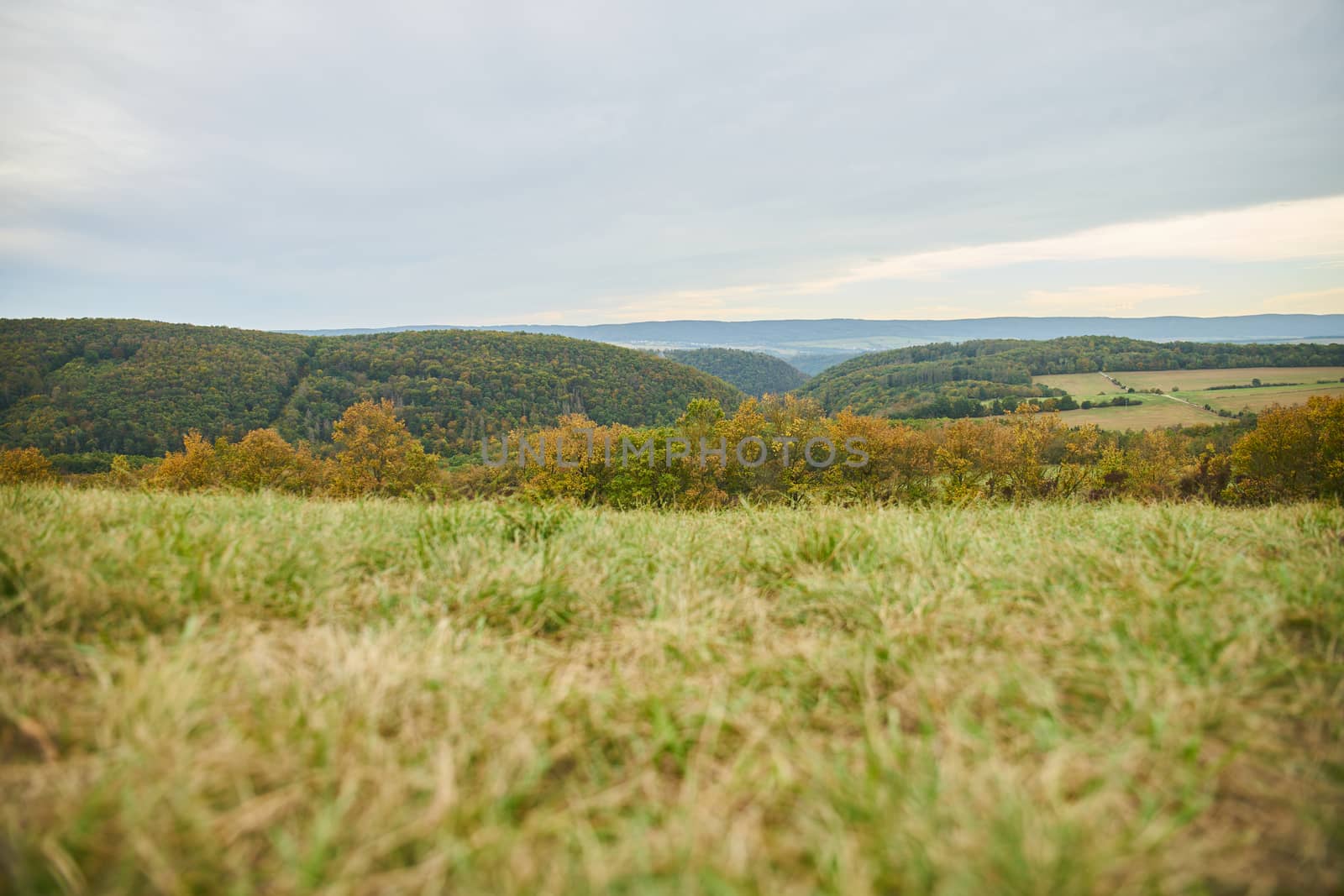 panorama view of hilly countryside pastures and forests