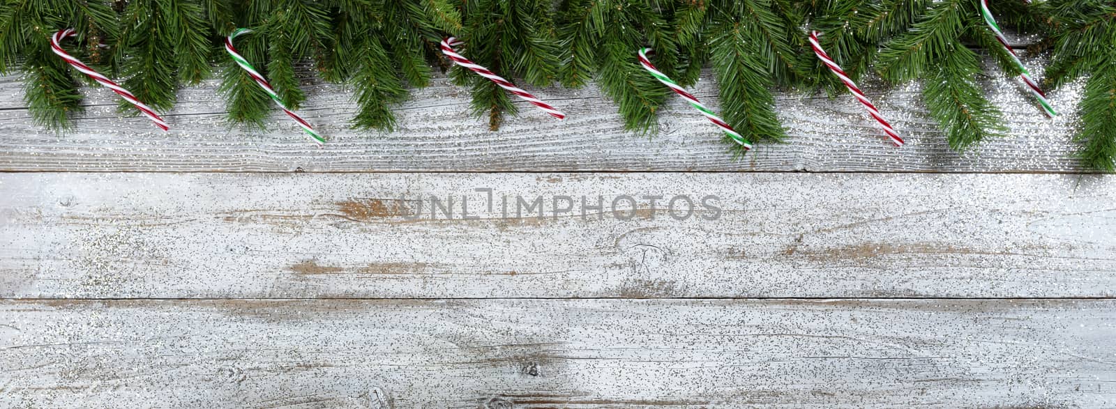 Border of Evergreen branches with candy cane ornaments for Christmas or New Year holiday background