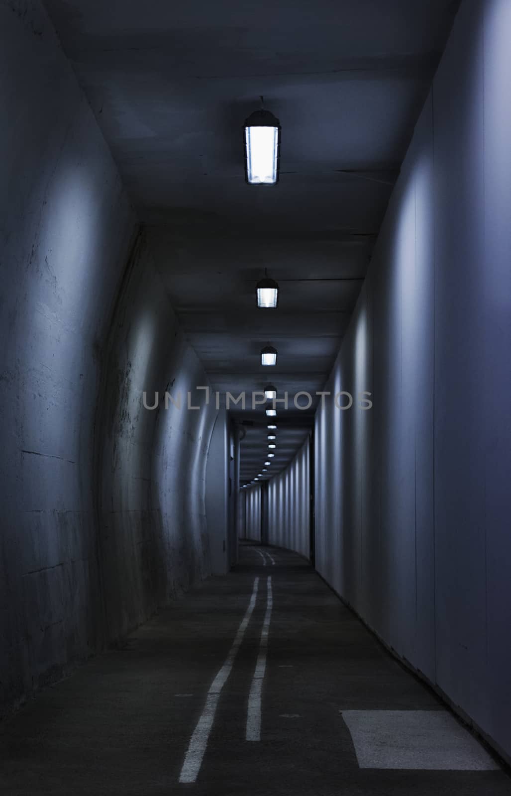 Seamless tunnel lighted by neon tubes  ,long white lines point the direction, vertical composition , high contrast