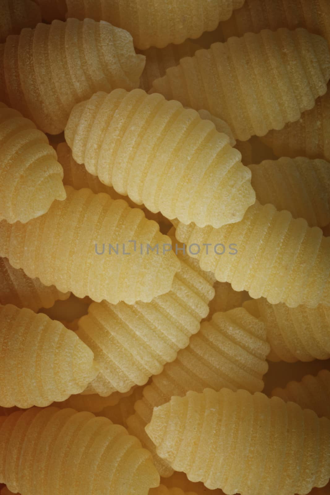 Italian pasta called gnocchetti sardi or Sardinian gnocchi, dumplings of durum wheat semolina , studio shot , a heap of pasta , top view