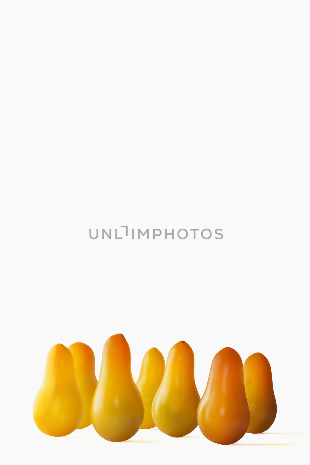 Pear drop tomatoes on a white background  , bright golden yellow  food,unusual stand up tomatoes ,vertical composition ,studio shot