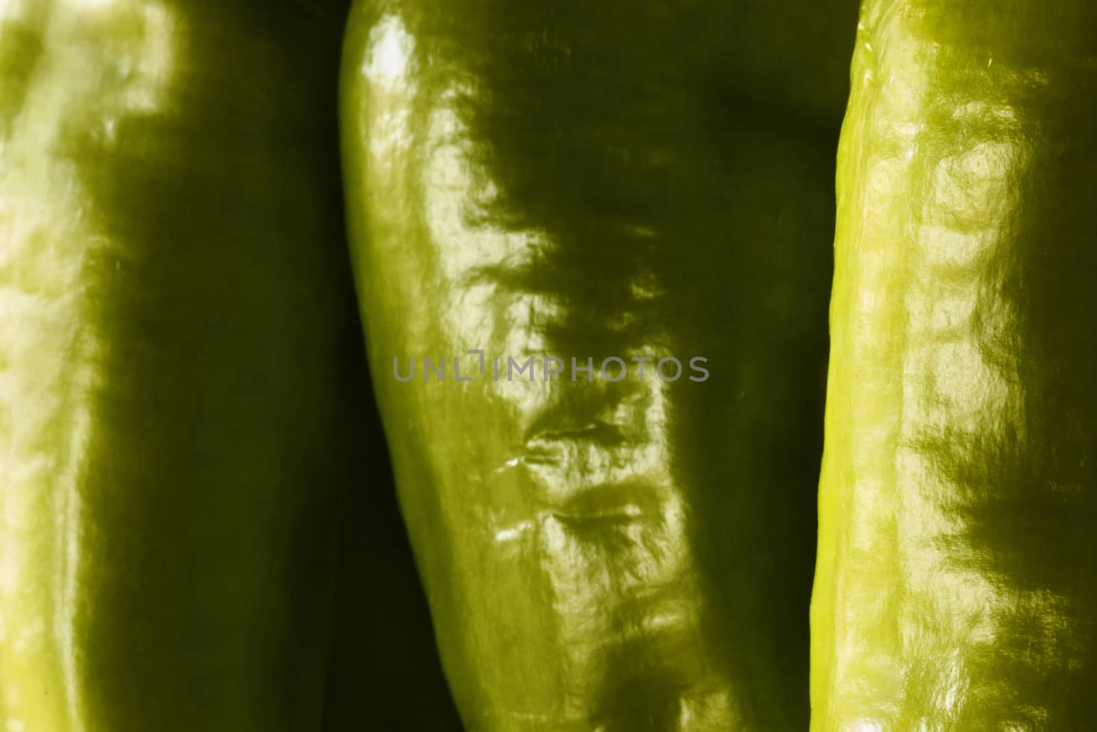  Italian chili pepper called friggitello close-up ,high contrast , studio shot ,