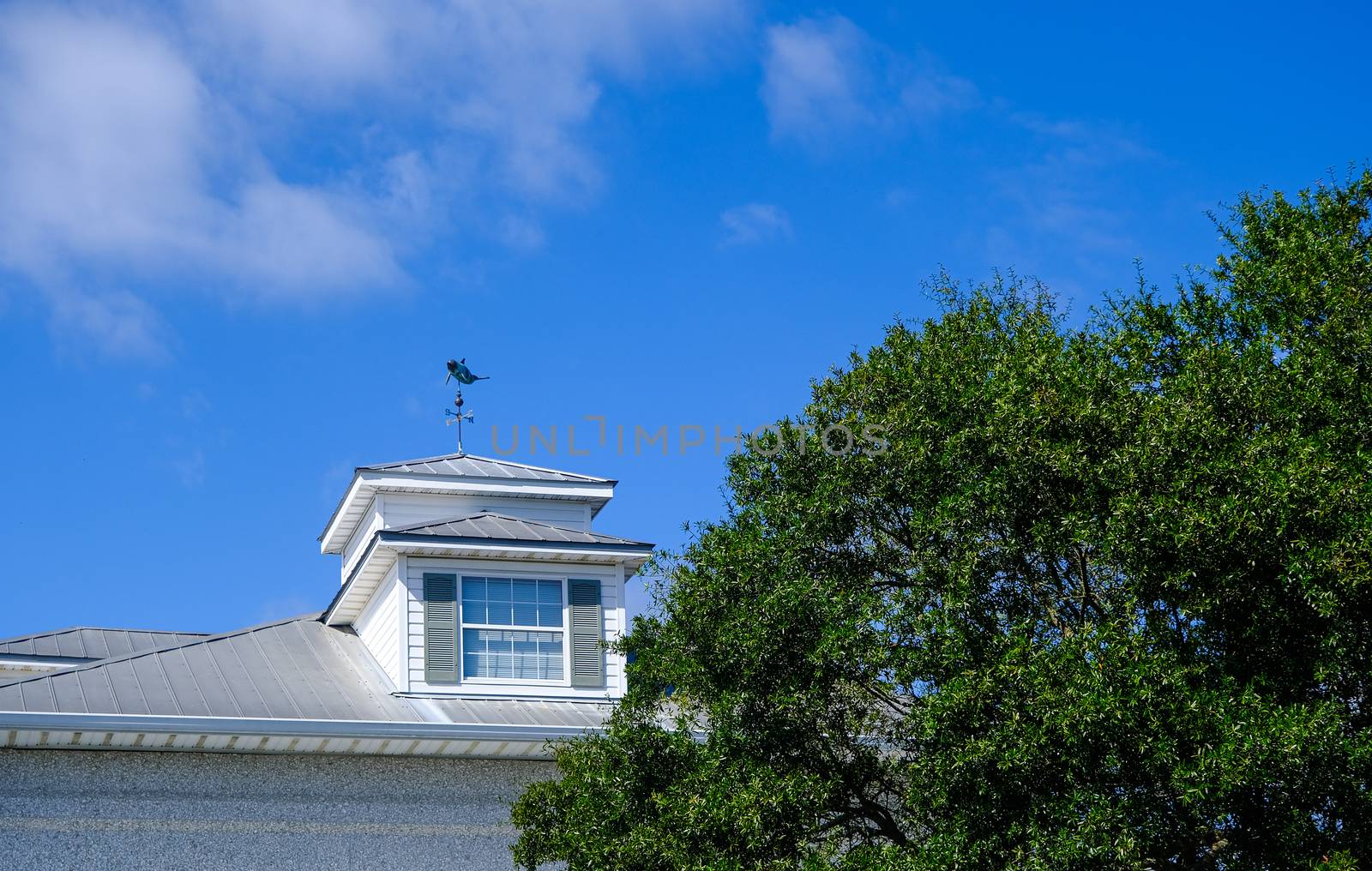 Roof Dormer with Wind Vane on Metal Roof
