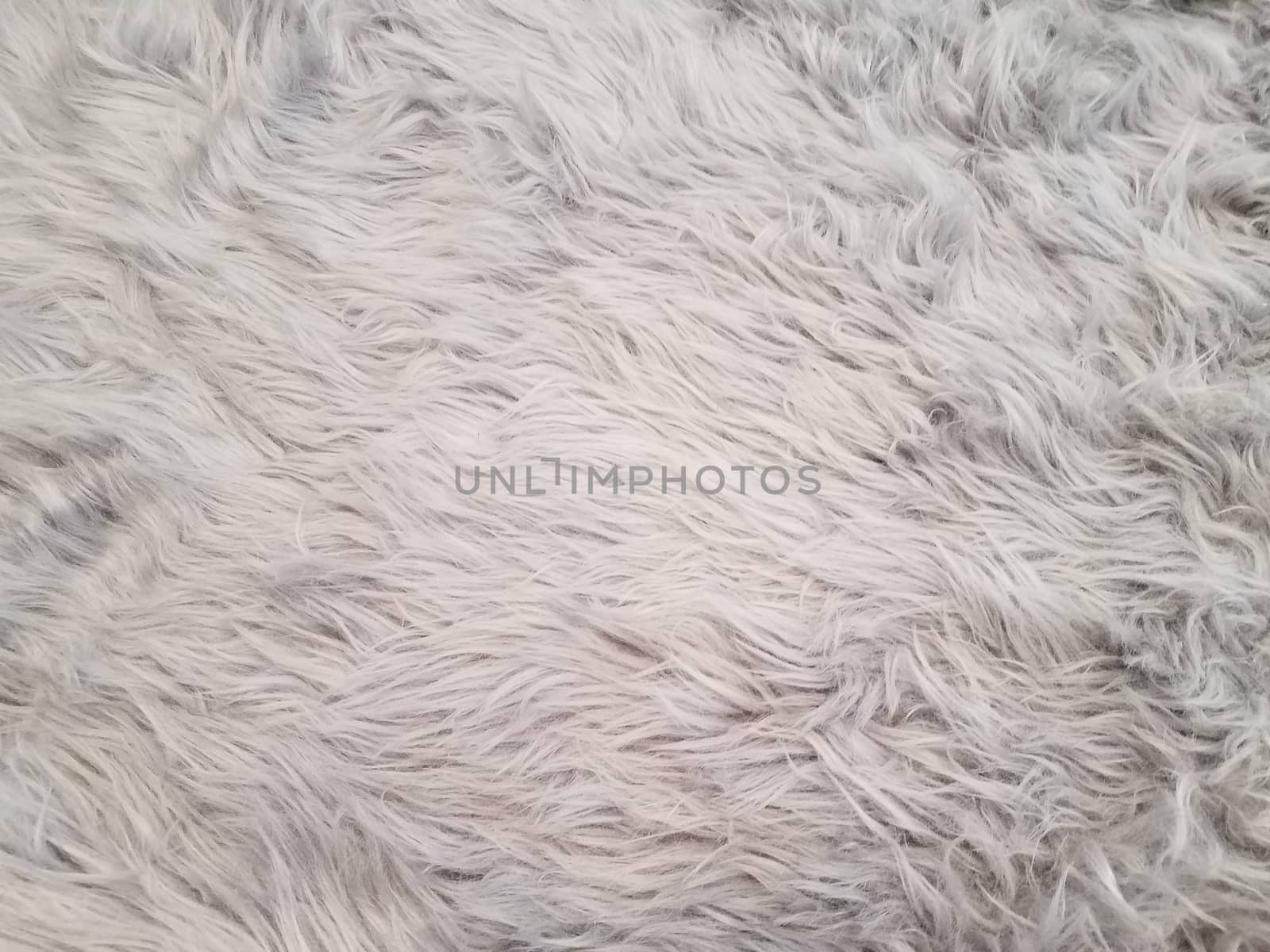 grey and white carpet or rug or dog hair by stockphotofan1