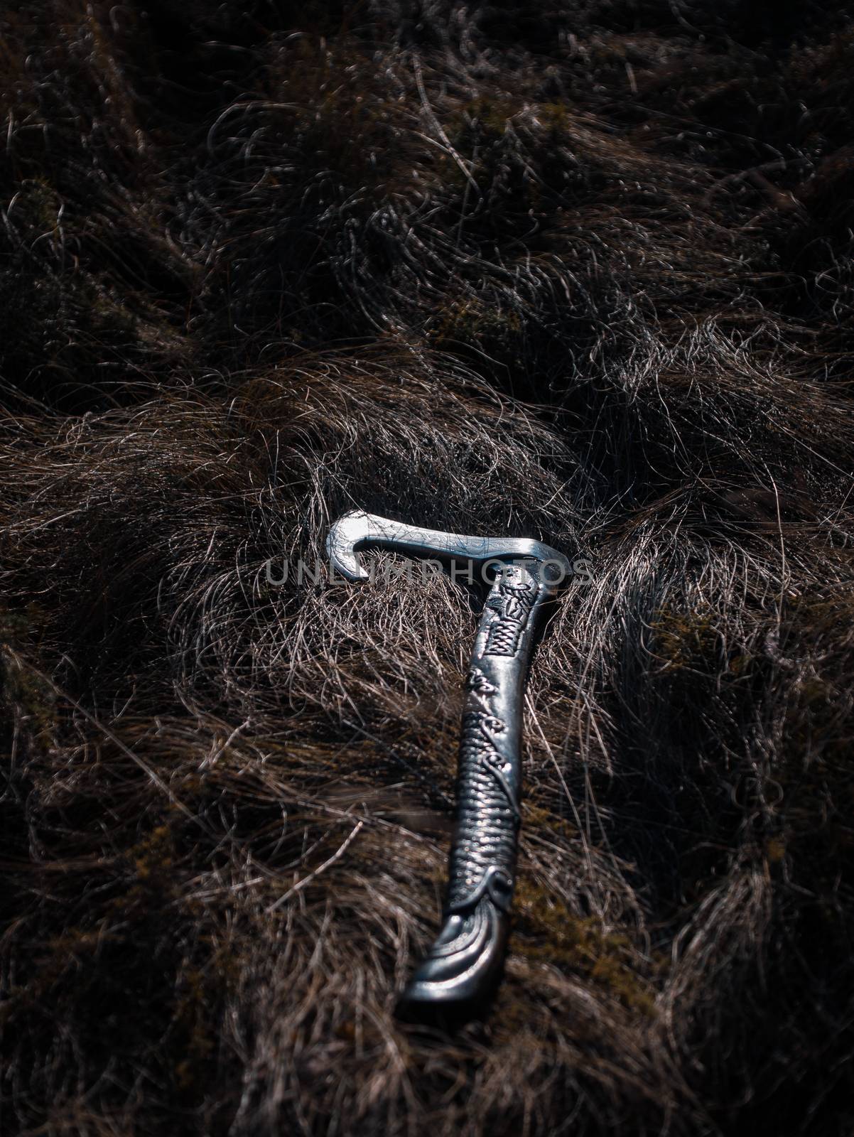 Close up look at the ancient Scandinavian vikings axe at the summer sunset on the deep grass