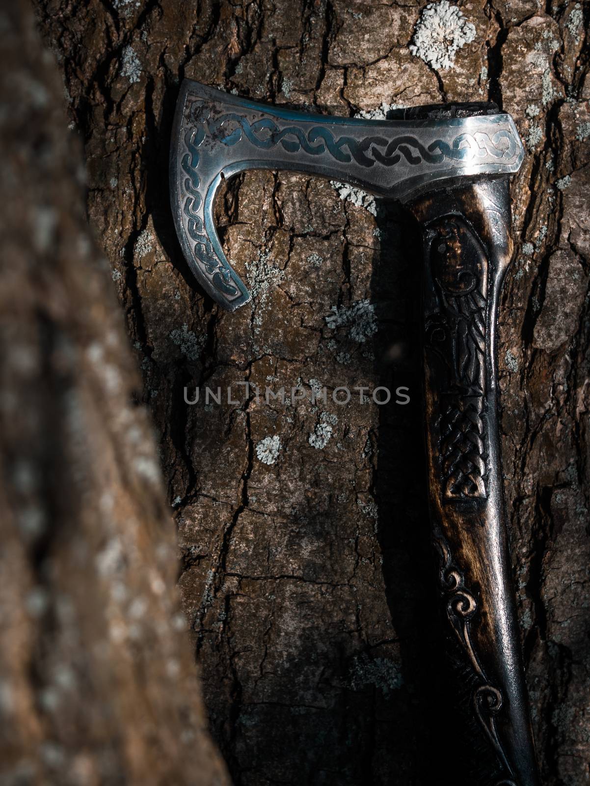 Close up look at the ancient Scandinavian vikings axe at the summer sunset on the grass by VIIIPhoto