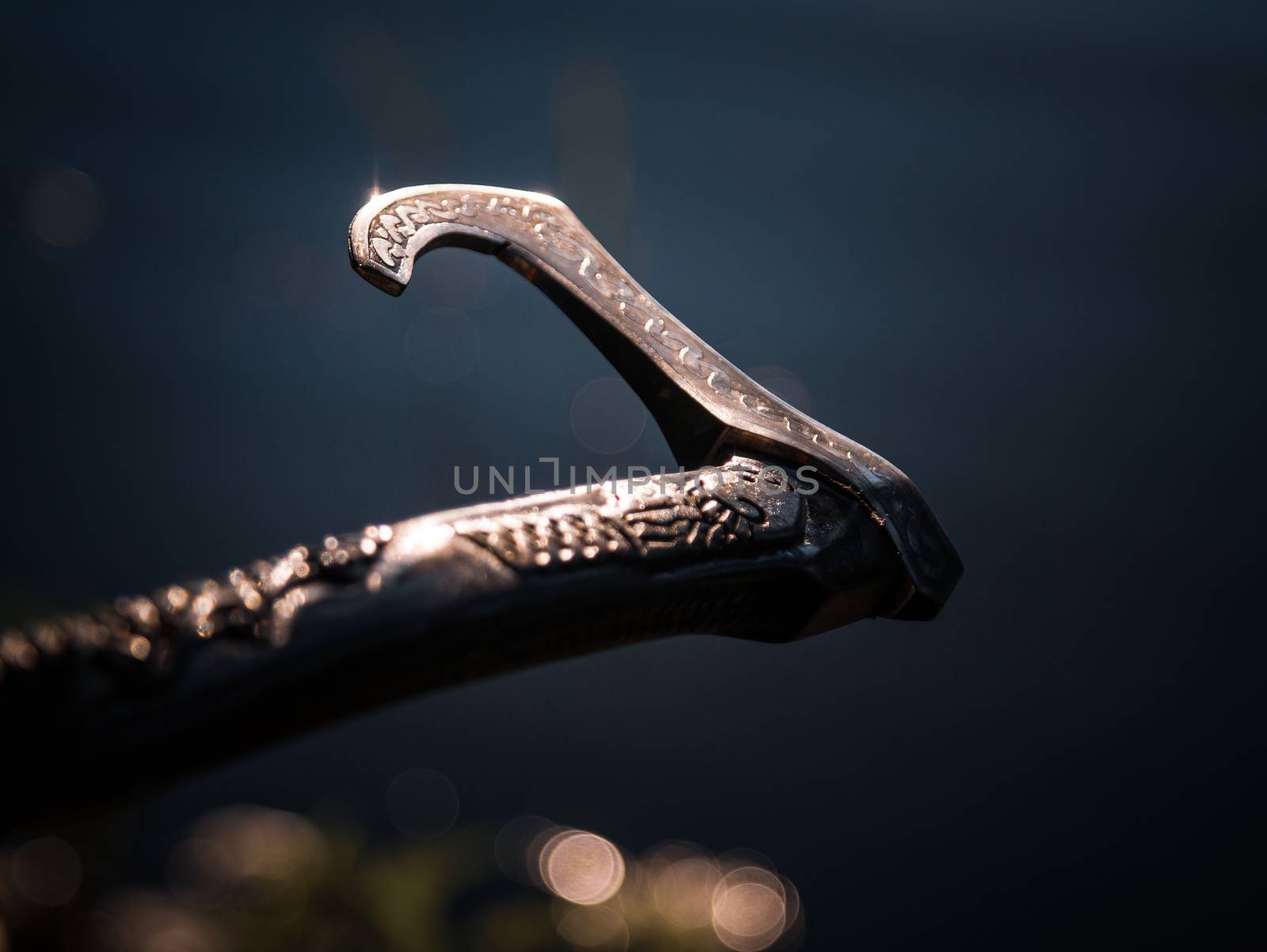 Close up look at the ancient Scandinavian vikings axe at the summer sunset on the deep grass