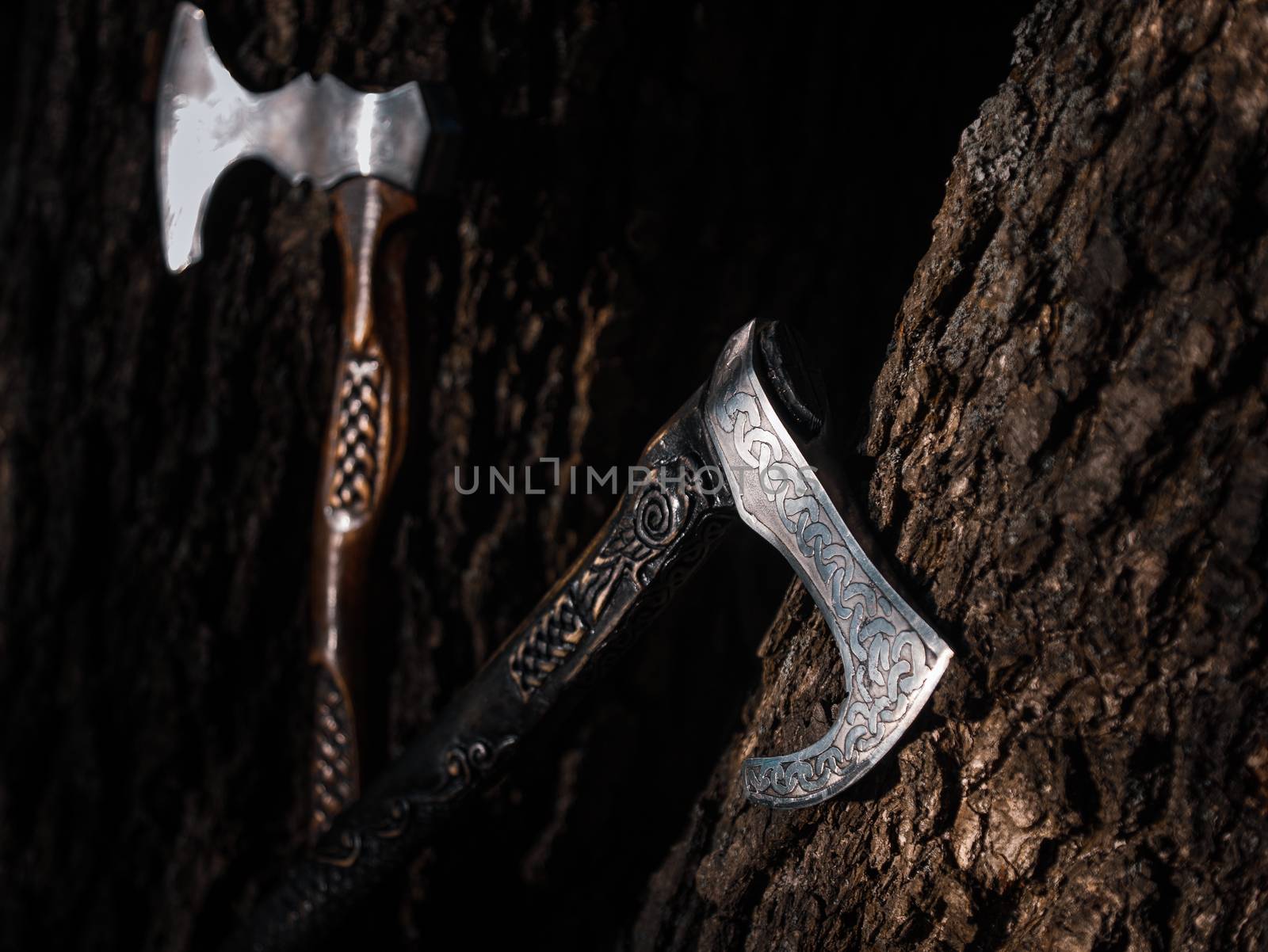 Close up look at the ancient Scandinavian vikings axe at the summer sunset on the grass by VIIIPhoto