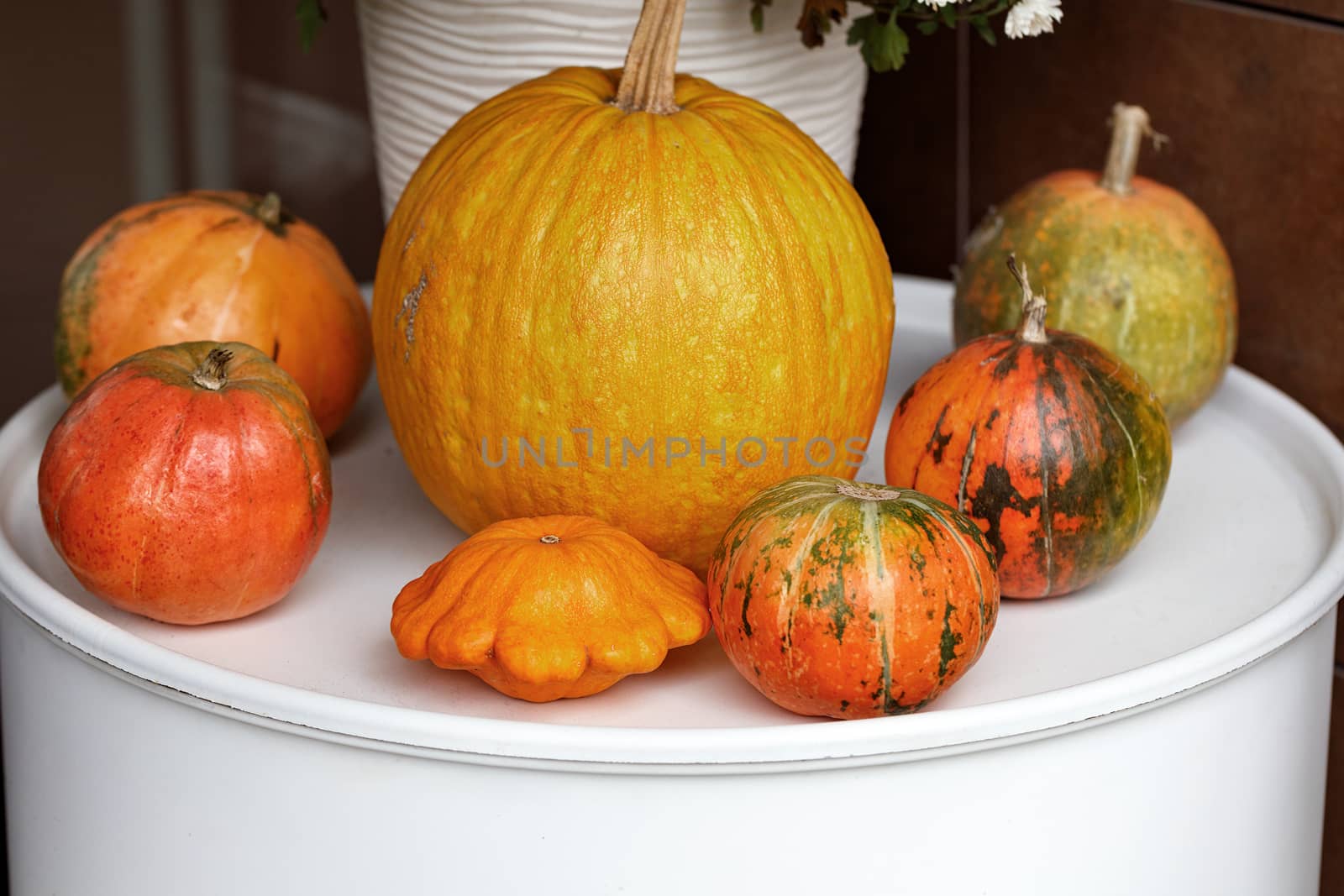 Pumpkins of different sizes and shapes, as decoration at the entrance to the house, close-up, copy space. The porch is decorated for Halloween, autumn still life, selective focus.