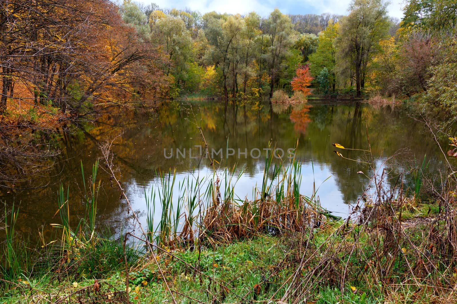 Landscape of autumn forest lake with blue sky reflection in water. by Sergii