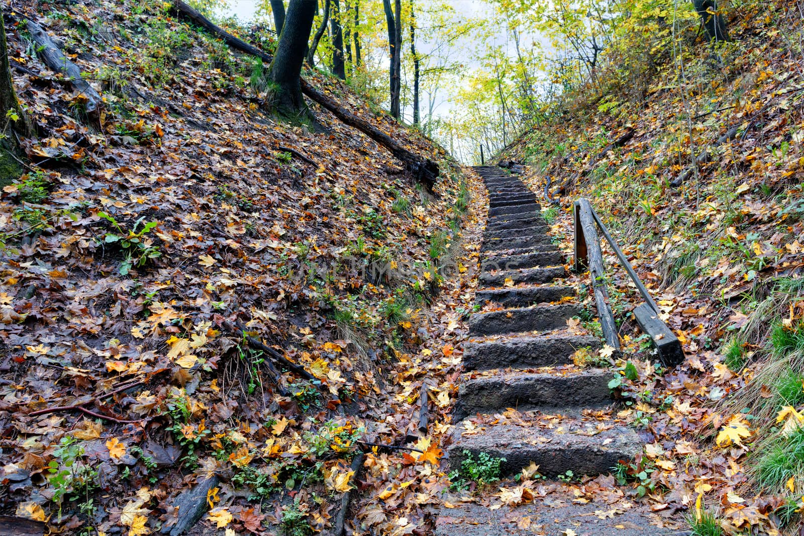 An old stone staircase on a hillside in the autumn forest leads upstairs. by Sergii