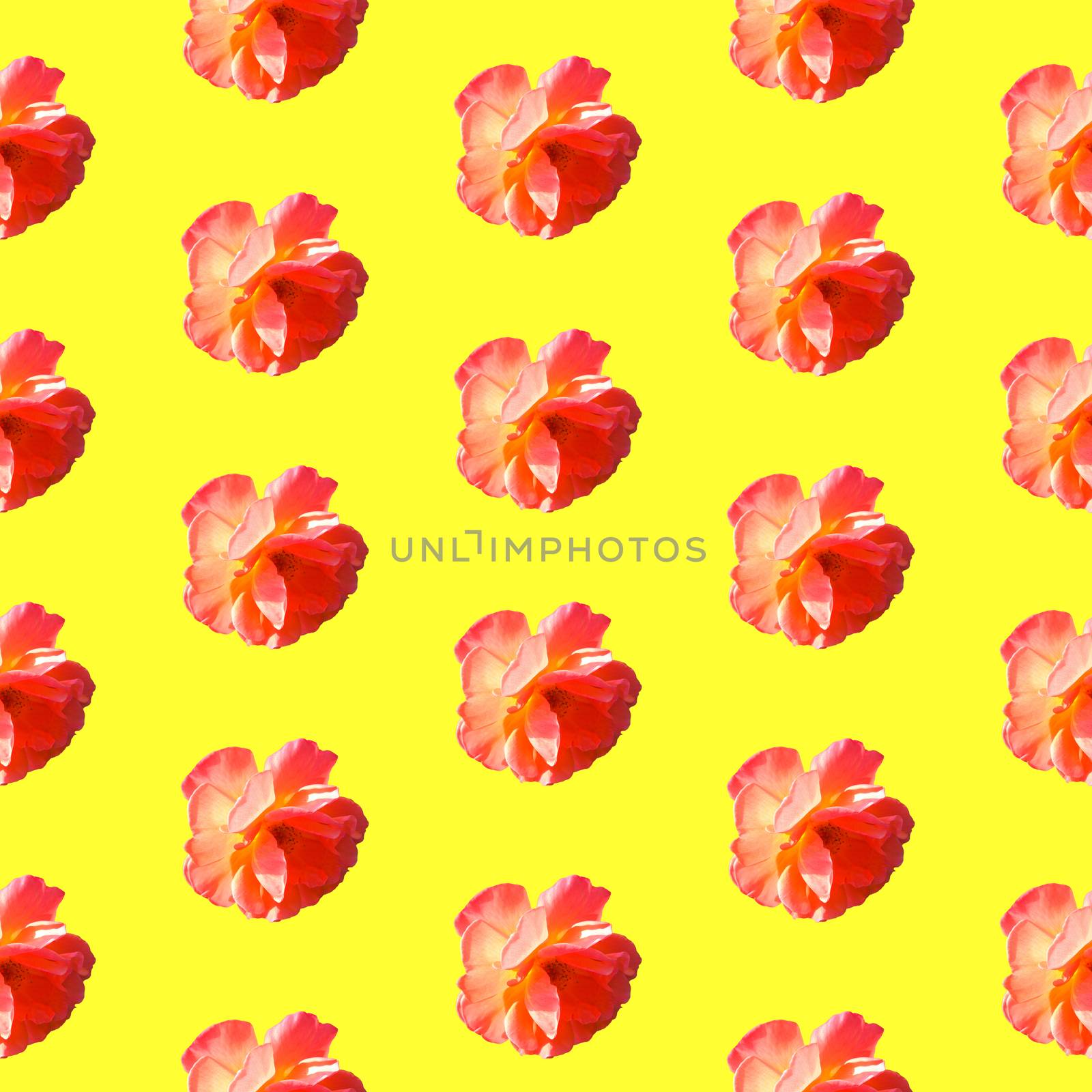 Seamless pattern with roses on a yellow background. by LanaLeta