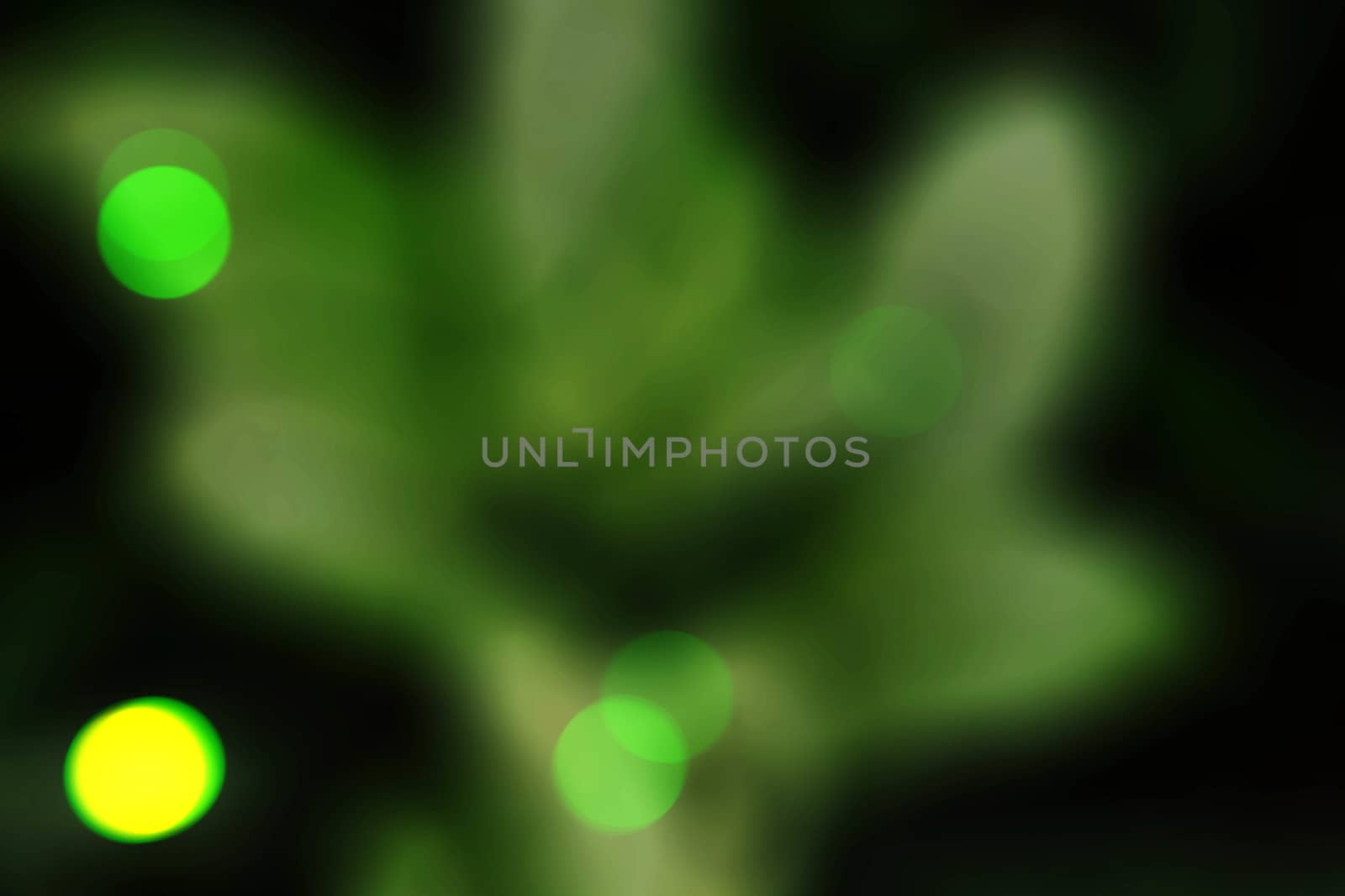 Bokeh on leaves with blurred images.