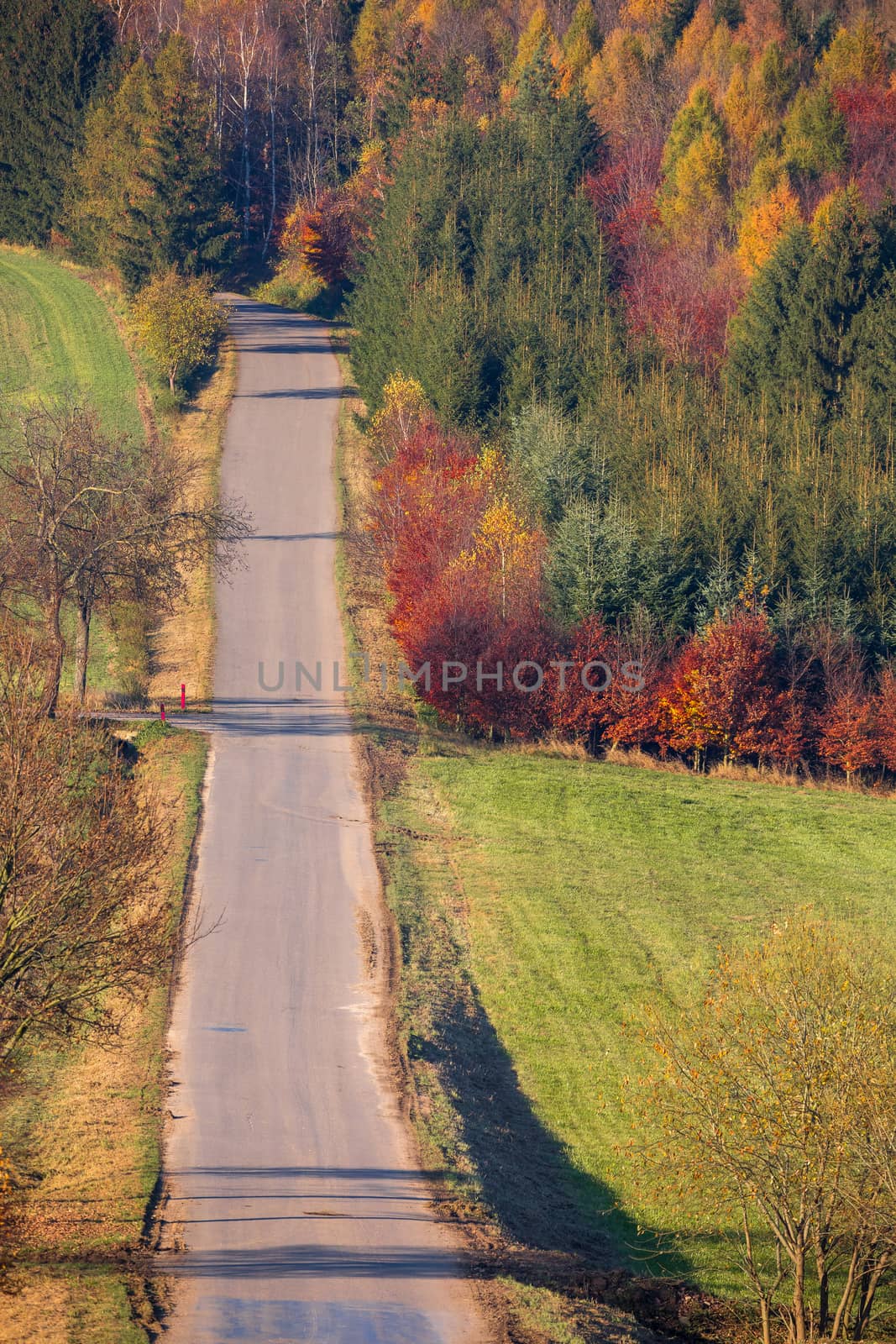 view of a colorful deciduous forest and rural road, in autumn with multicolored yellow, orange, red and green foliage on the trees in a scenic full frame view of the changing seasons. Czech Republic Highland Vysocina