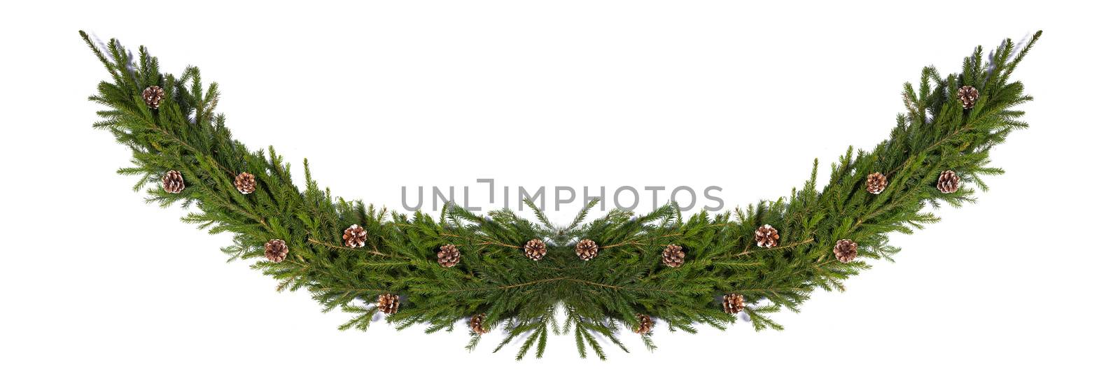 Christmas fir decoration on white by Yellowj