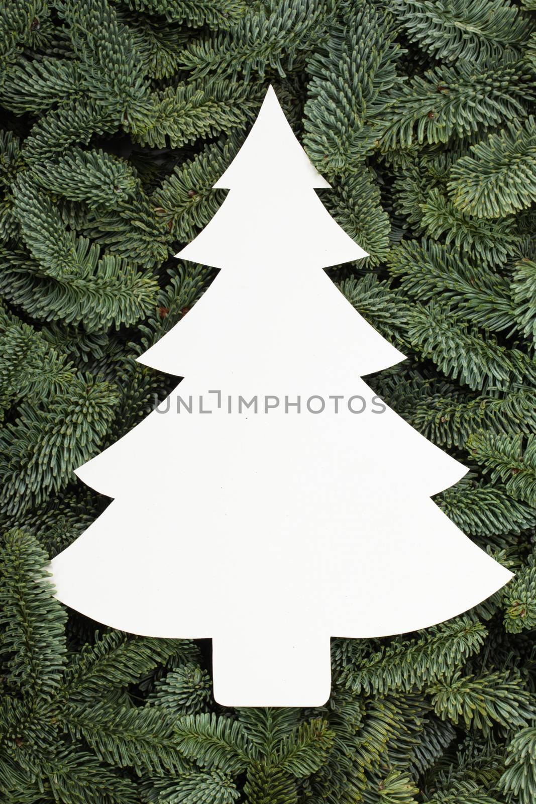 White Christmas tree shape card over Noble fir tree branch background close up