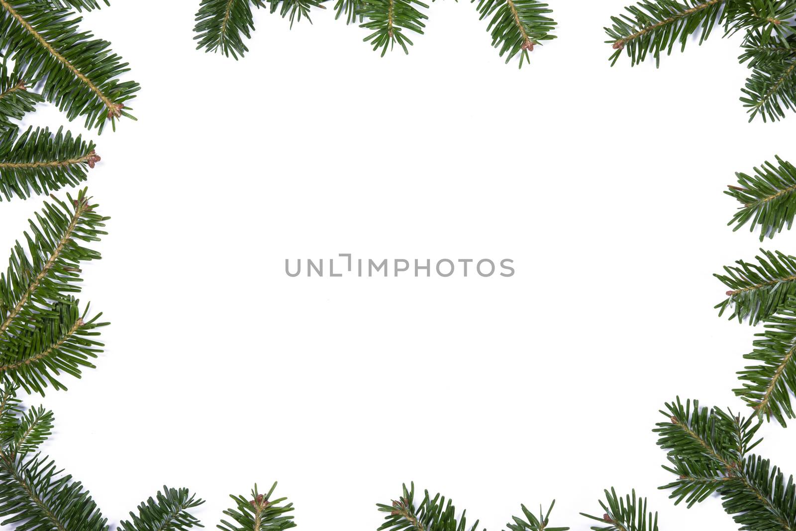 Natural fir Christmas tree border frame isolated on white , copy space for text