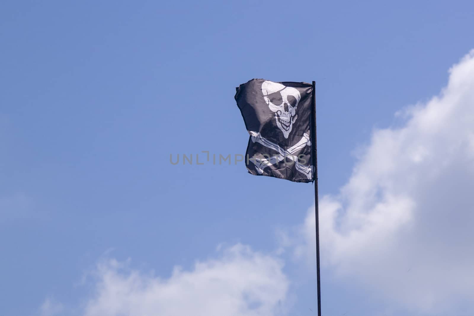 pirate flag develops in the wind, skull with bones, Jolly Roger,the symbol of the robbery