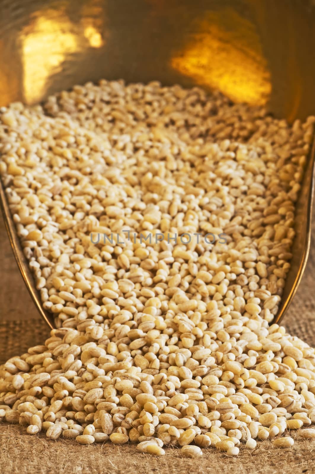 barley pearls