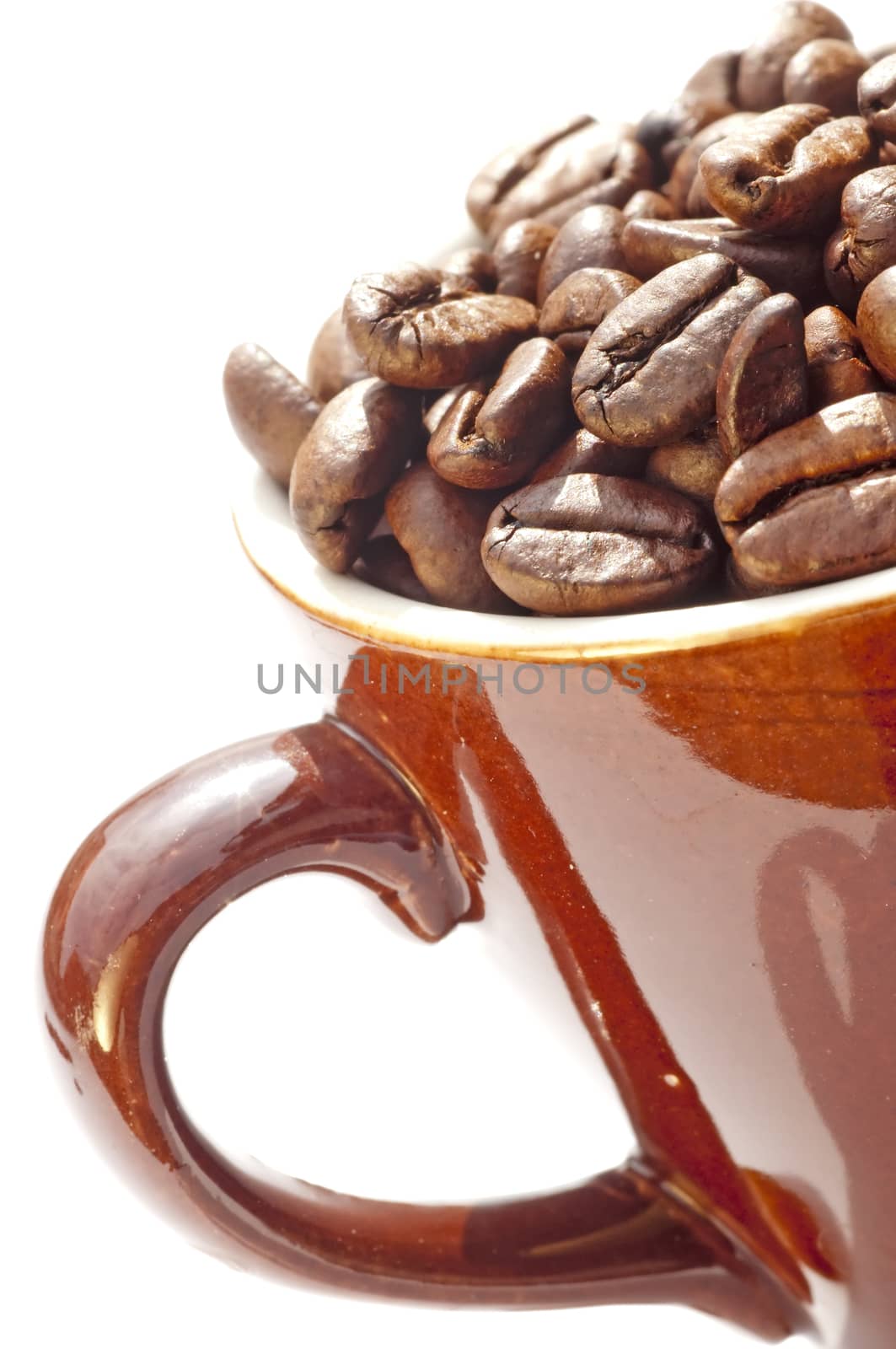 closeup of coffee beans in a cup