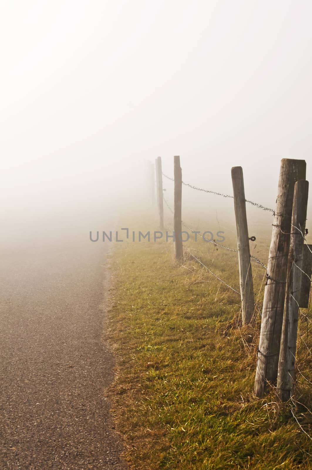descending fog in autumn by Jochen