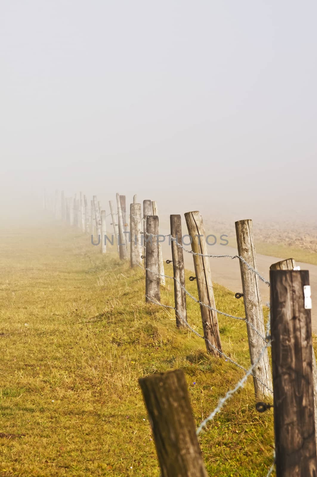 descending fog in autumn