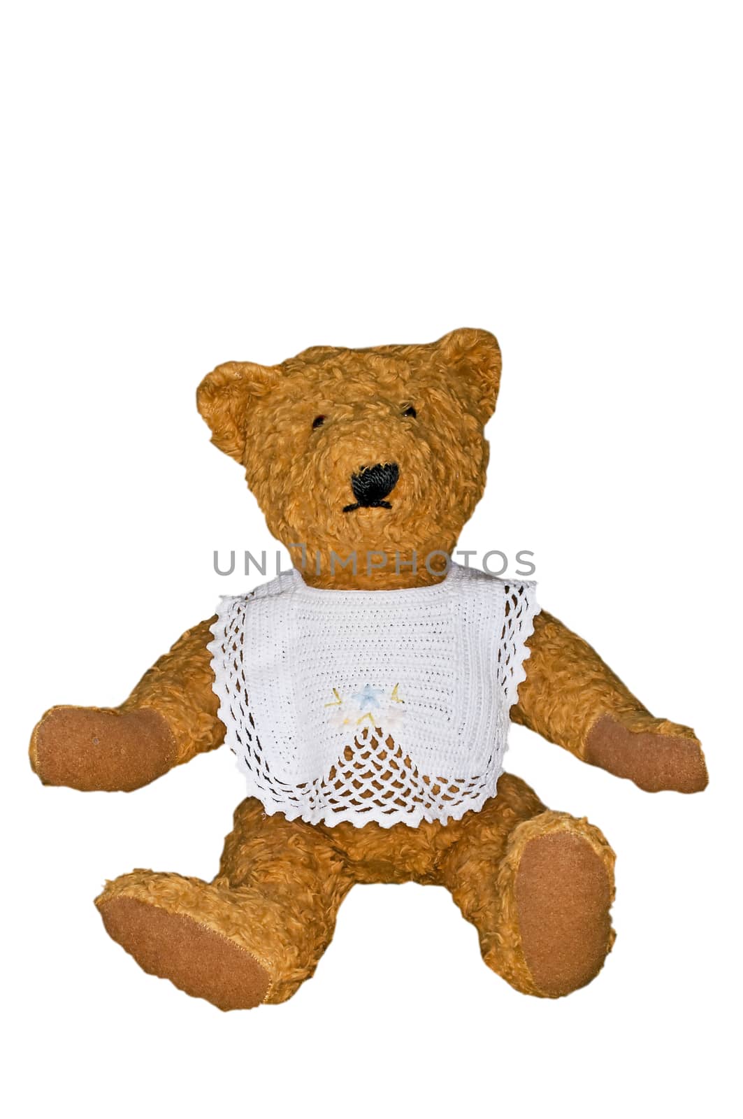 Teddy bear by Jochen