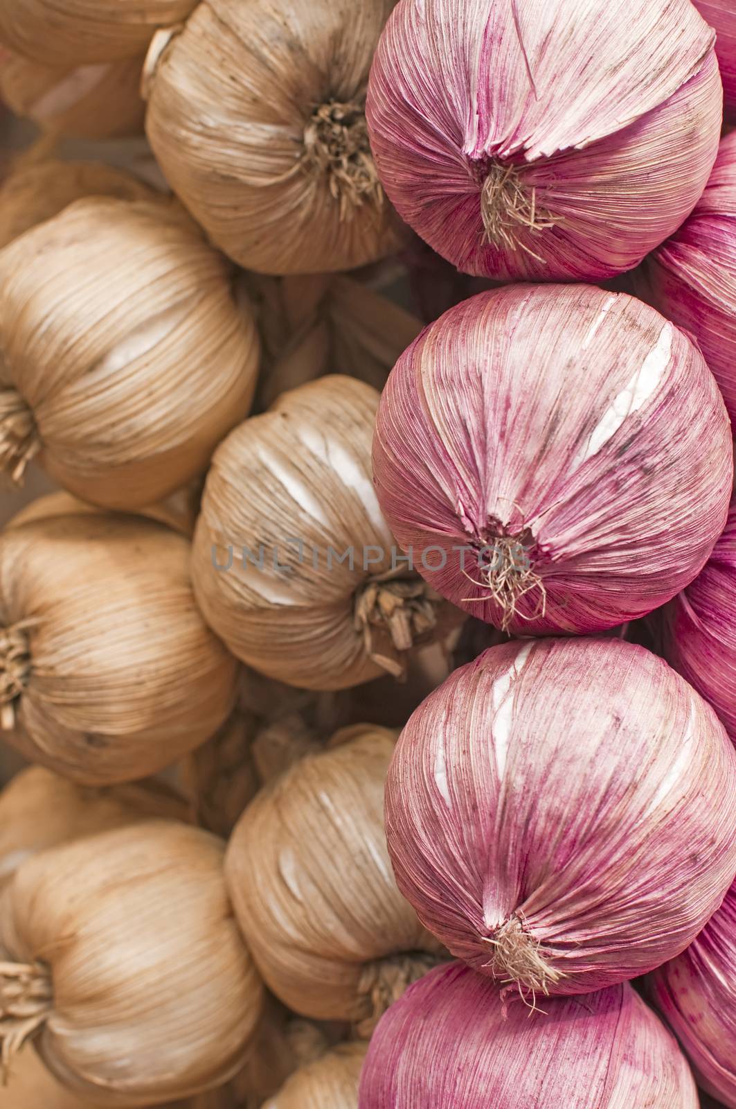 onions by Jochen