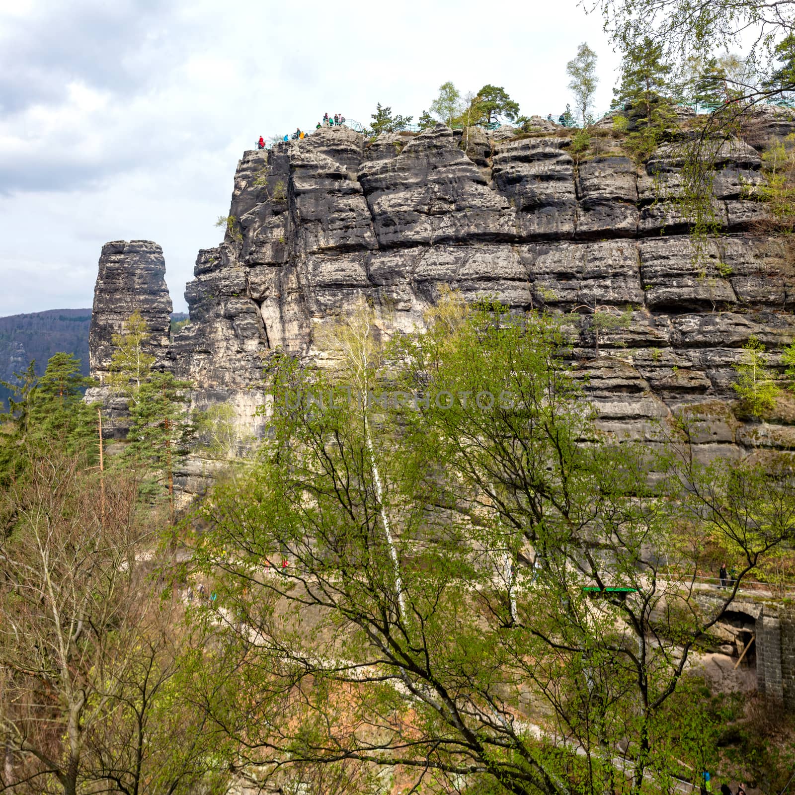 The Elbe Sandstone Mountains are a sandstone massif on the upper reaches of the Elbe River in Germany and the Czech Republic. Czech Bohemia or Saxony in Germany.