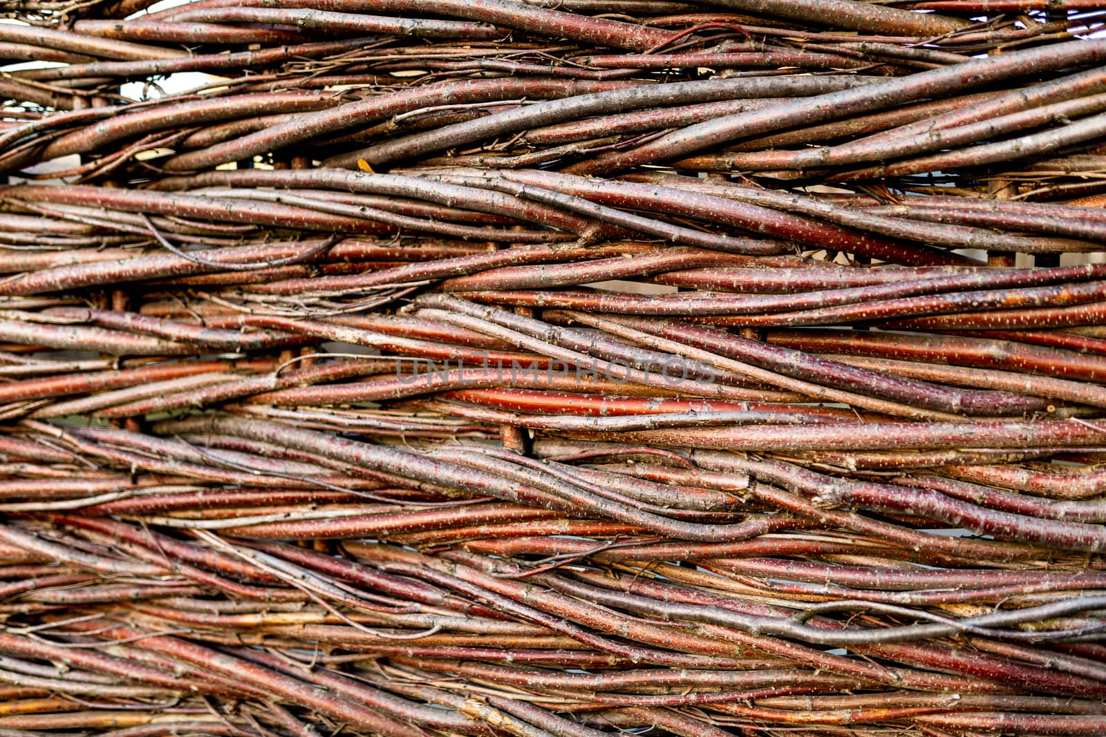 Wicker fence of twigs, branches. Background texture natural closeup. Wooden background made of twigs. A wicker hedge a fragment of brown color.