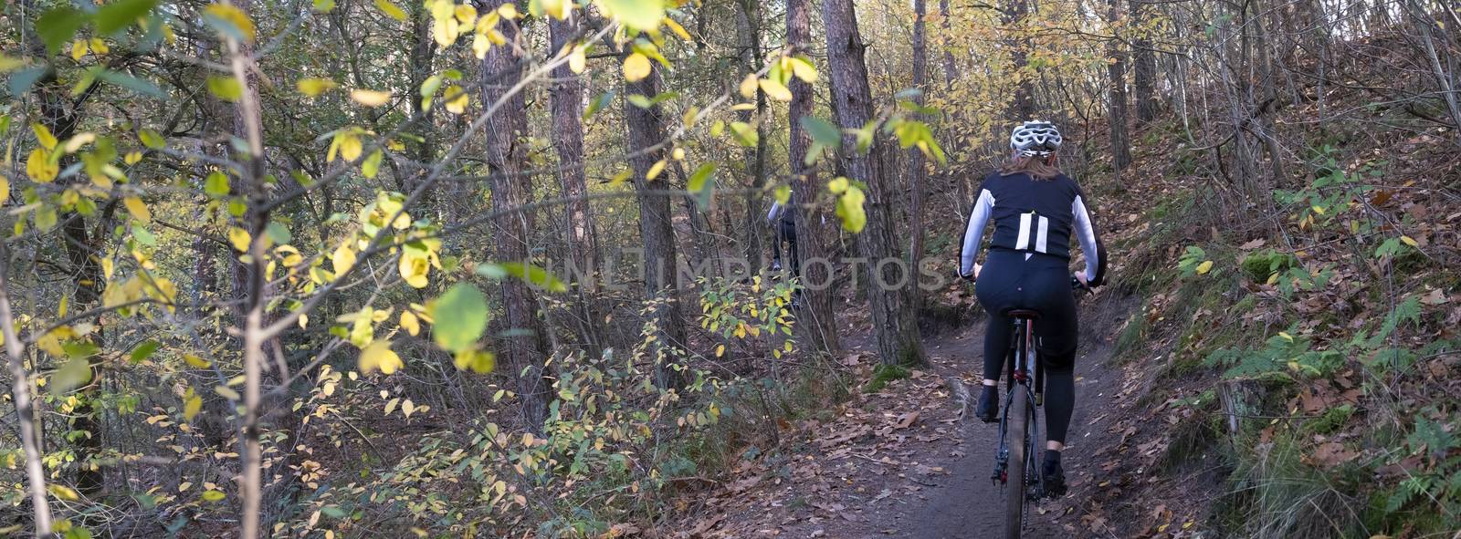 woman on mountainbike on trail in autumn forest near utrecht in the netherlands
