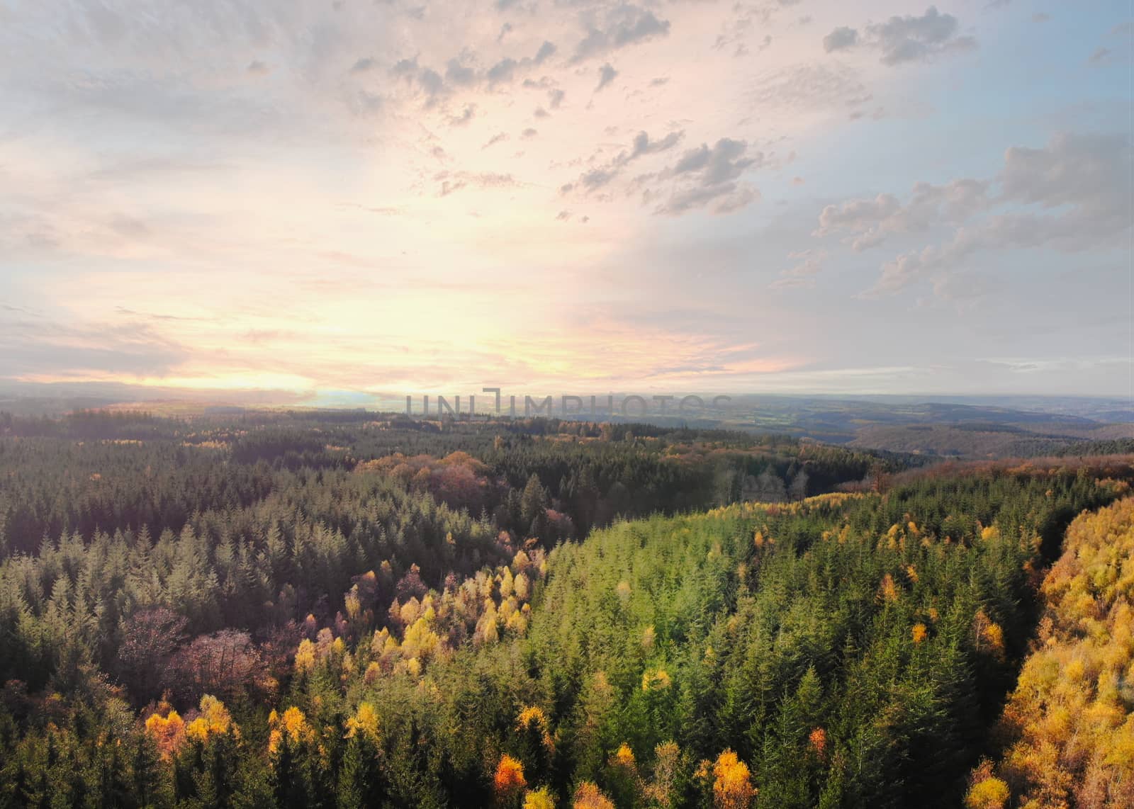 Dramatic aerial sunset over the pine tree forest in autumn in the Ardennes, Belgium. by kb79