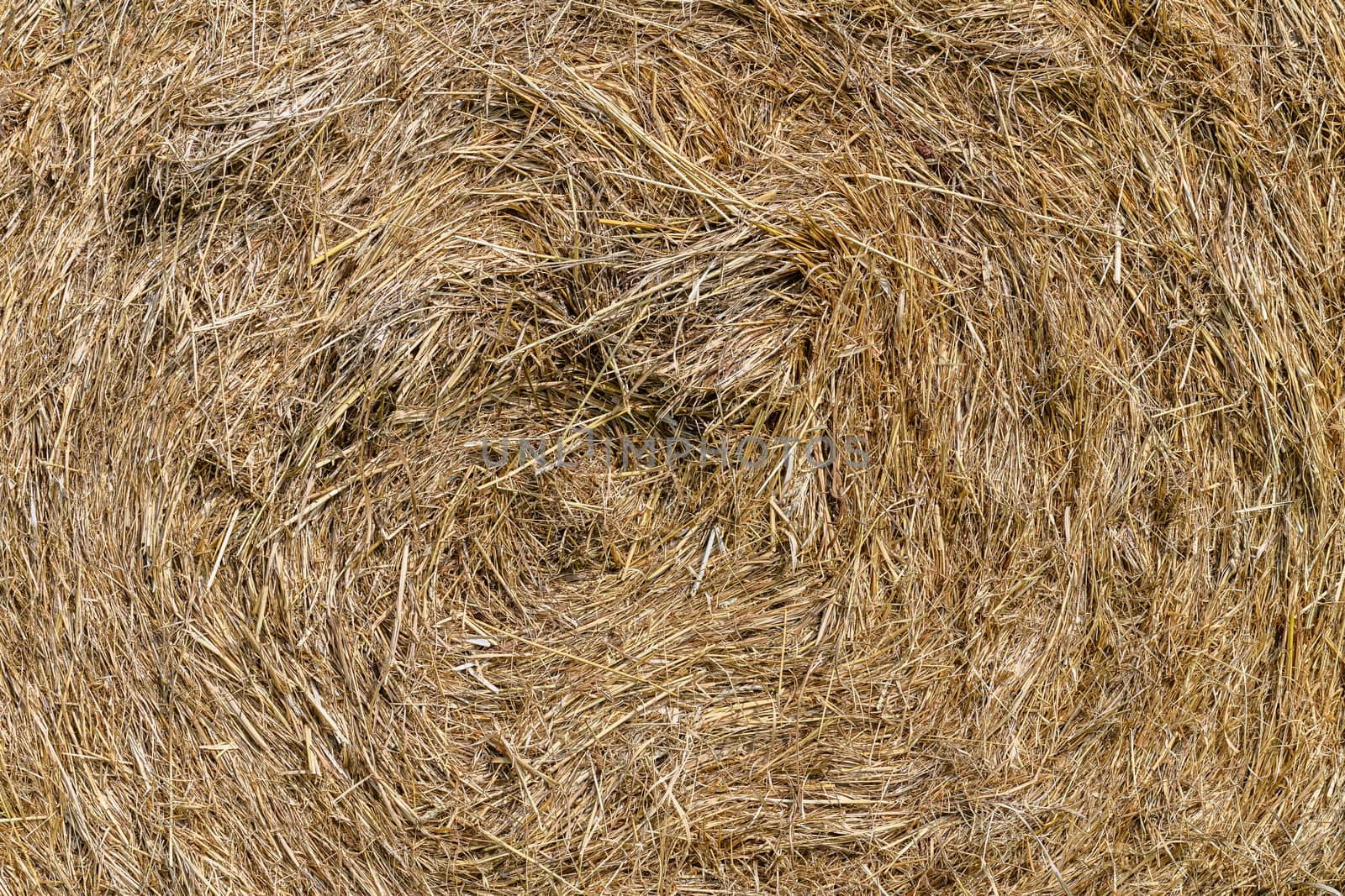 Close up of a hay bale