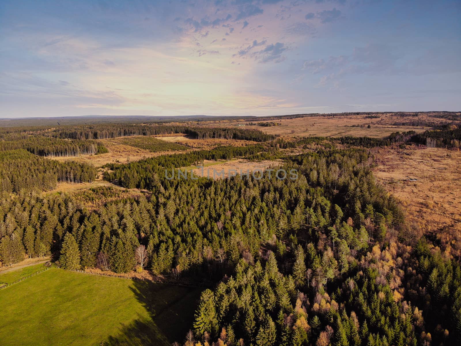 Aerial drone point of view of High Fens Hohes Venn Hautes Fagnes Hoge Venen nature reserve in Belgium. Beauty in nature