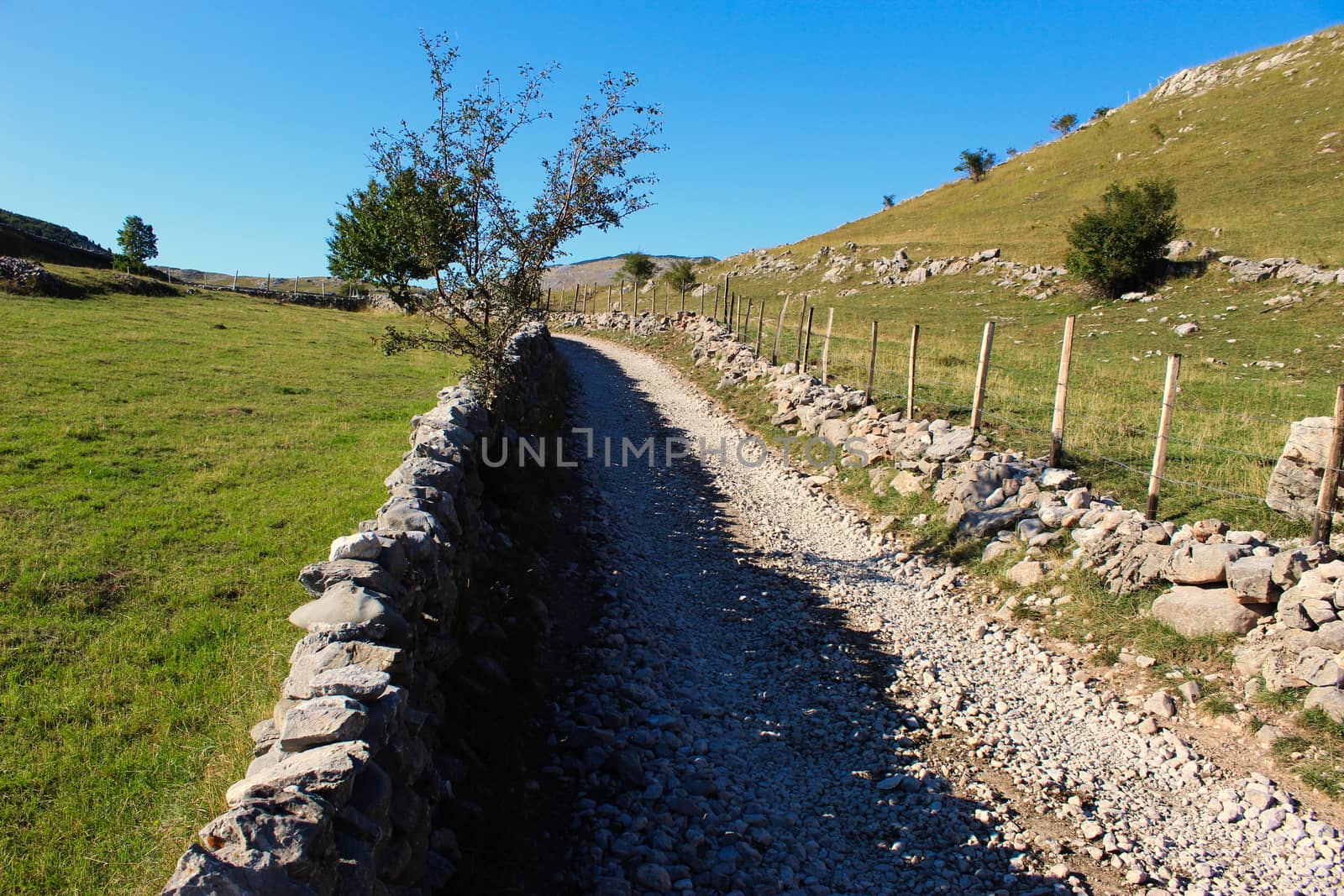 Large stones stacked in the wall to fence off the field from the road. Road to the old Bosnian village of Lukomir. Bjelasnica Mountain, Bosnia and Herzegovina.