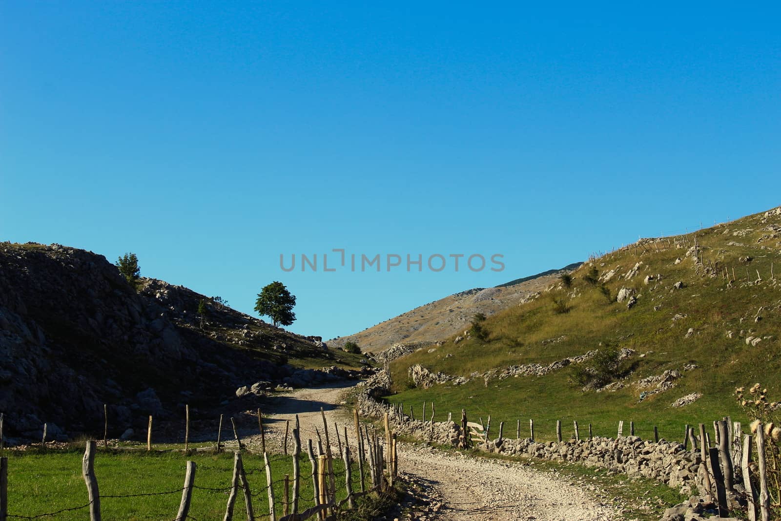 Mountain road that leads to the old Bosnian village of Lukomir. Autumn on the mountain. The road is surrounded by stone with wooden pillars connected by barbed wire. by mahirrov