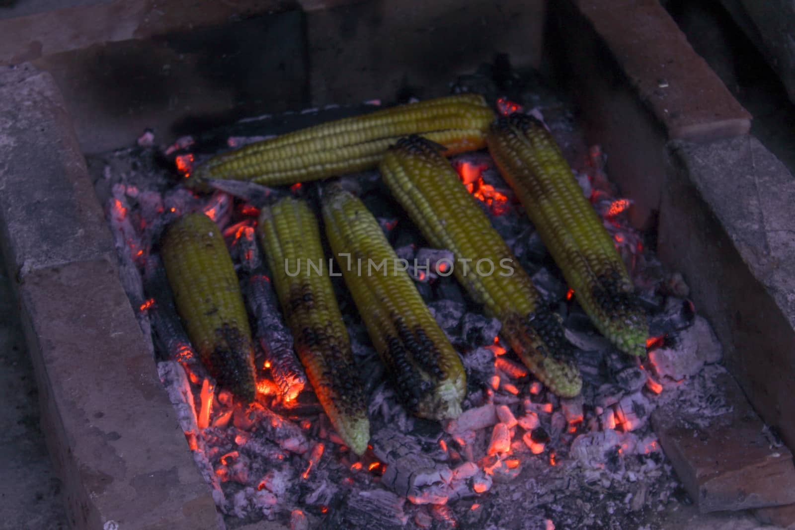 Summer nights by the fire. Roasting corn on the cob at night on summer days. by mahirrov