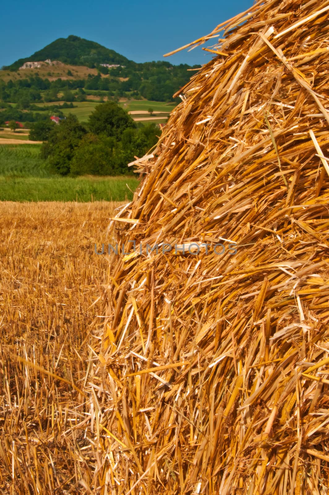 bale of straw with a panoramic view to a hill