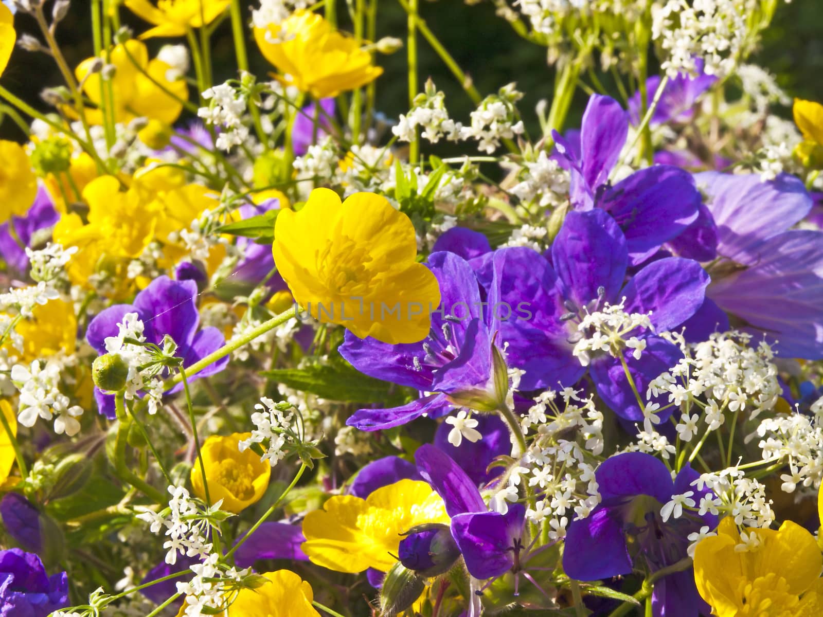 posy of flowers