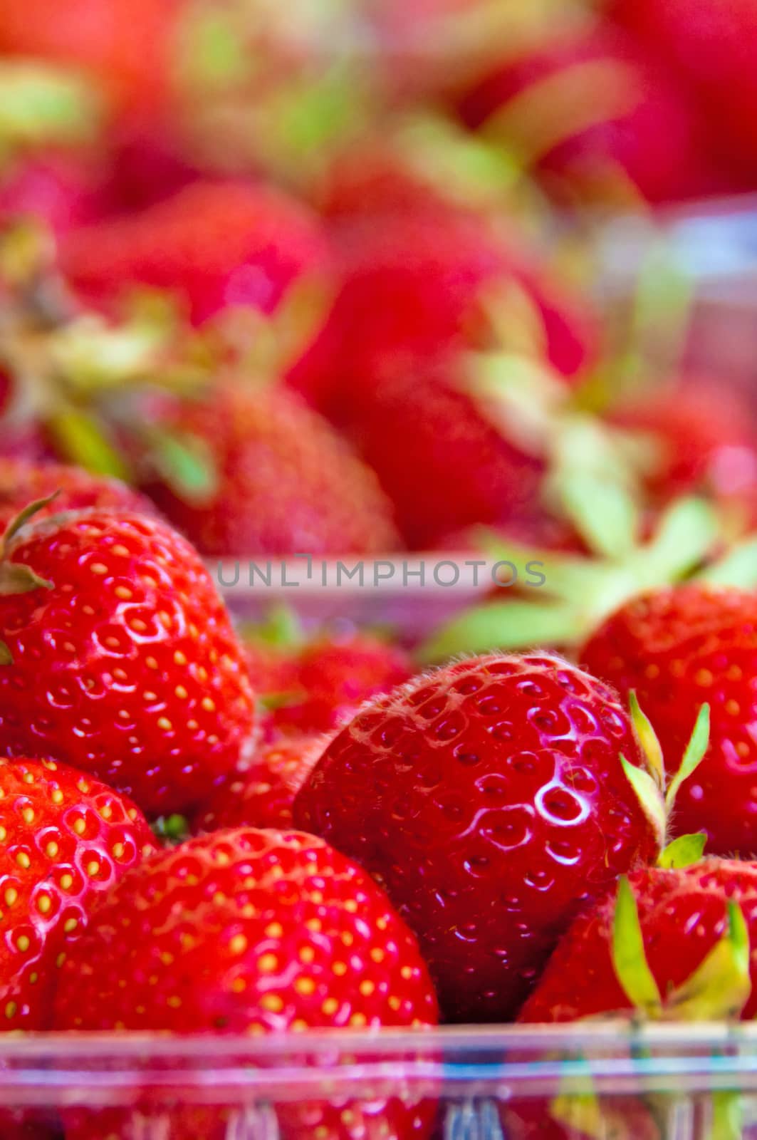 strawberry by Jochen