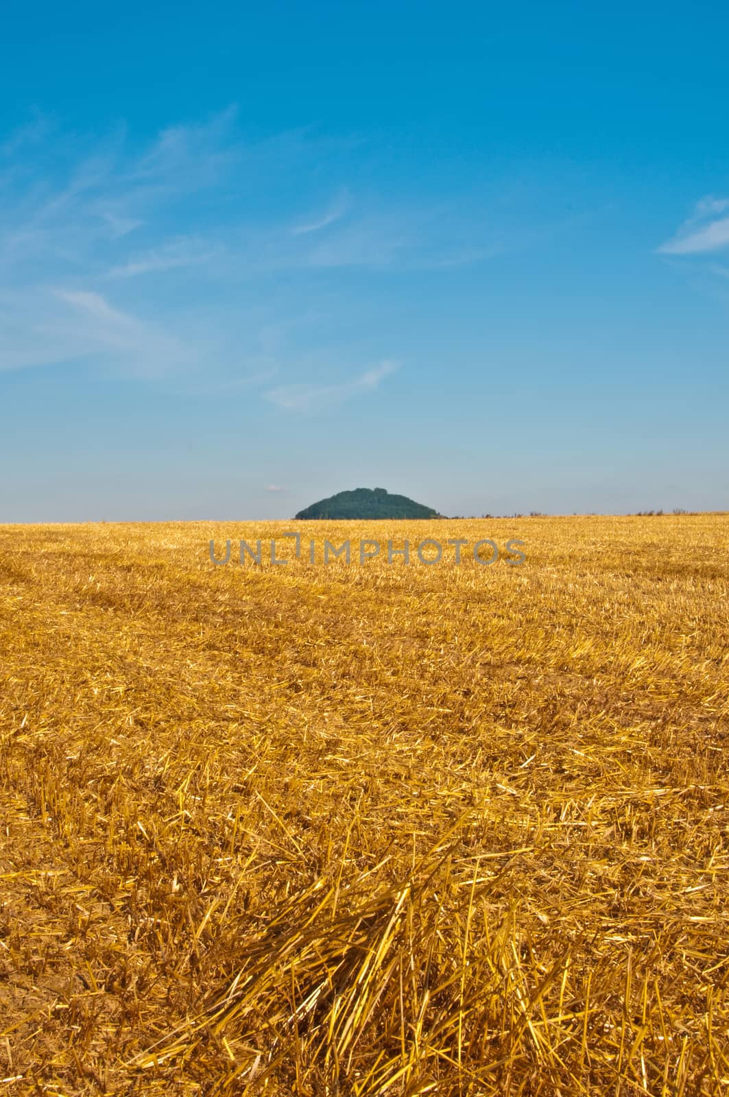 stubble field with hill