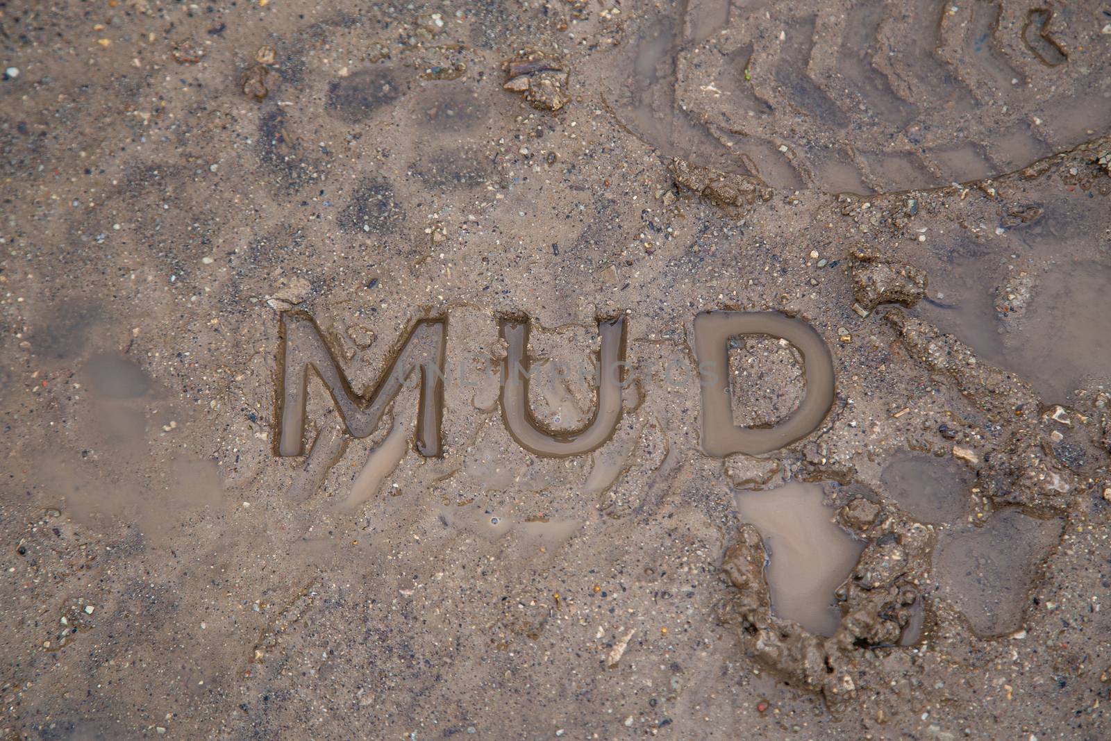 the word mud imprinted in wet dirt road surface - close-up with selective focus.
