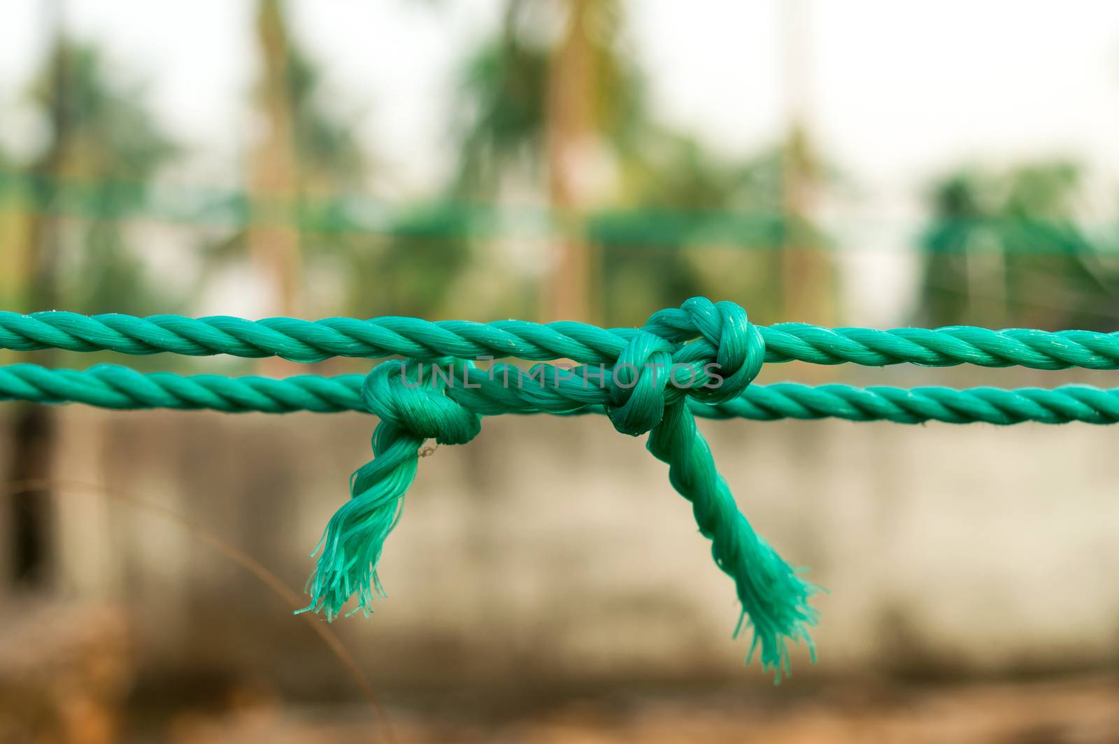 Rope tie knot Closeup. Rope with a two tied knot in the middle isolated from background. A symbol of trust, strength, safety support faith and togetherness concept. Illustrative conceptual photography by sudiptabhowmick