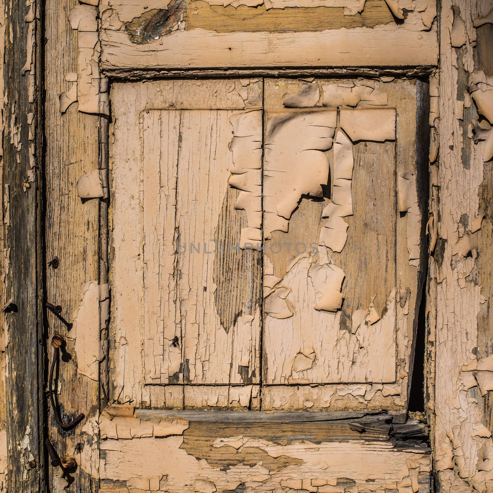 Old wooden door texture with peeling paint , background with remains of pieces of scraps of old paint. Texture of an old tree, board with paint, vintage background peeling paint