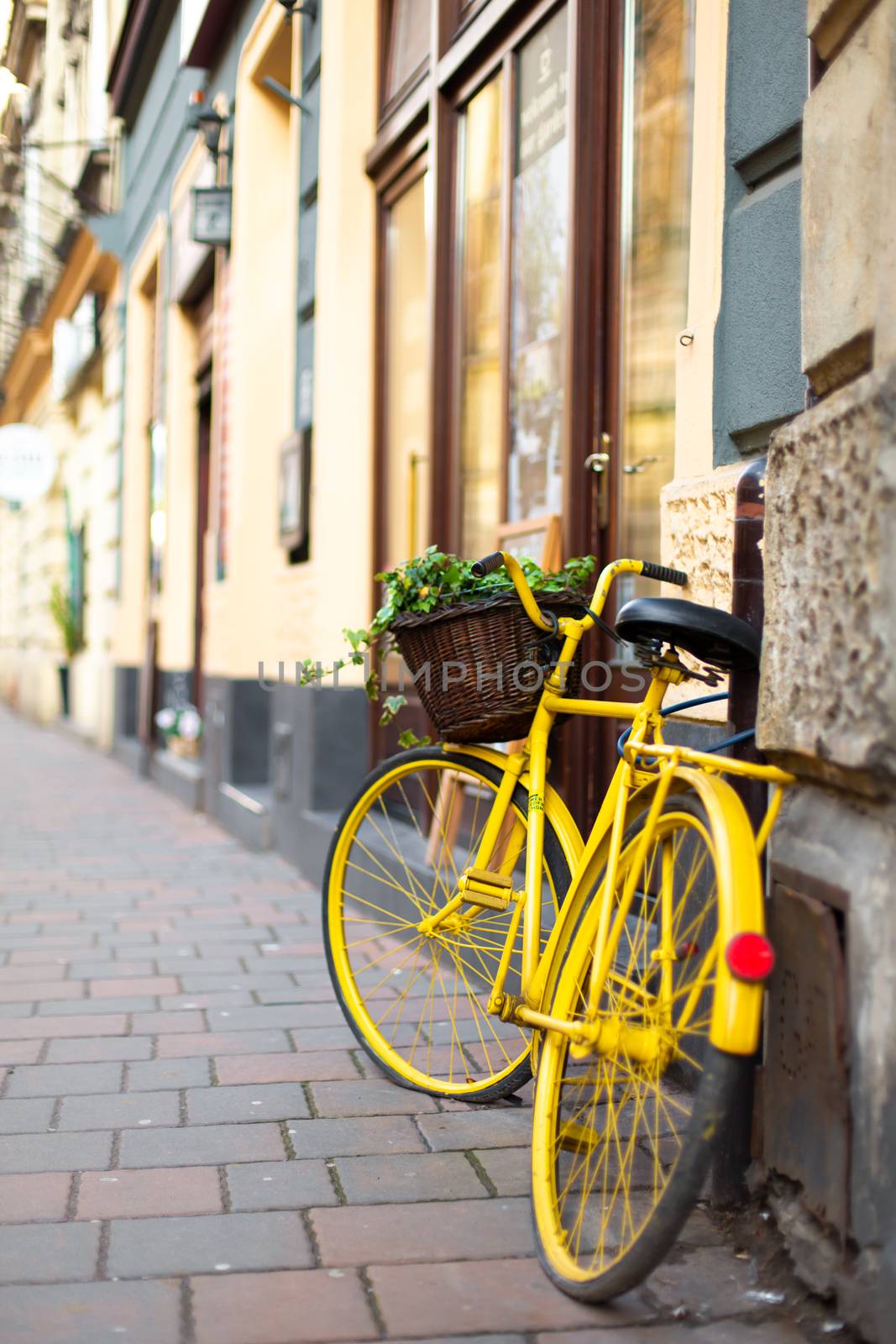 Cityscape of the old cozy European city. A flower pot from an old bicycle.